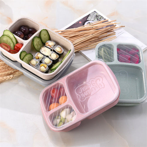 Lunch Box Picnic Food Fruit Container